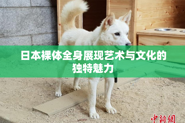 日本裸体全身展现艺术与文化的独特魅力