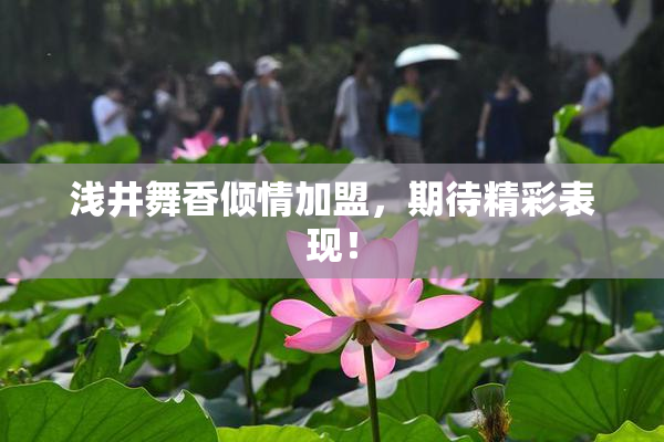 浅井舞香倾情加盟，期待精彩表现！