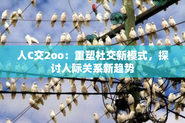 人C交2oo：重塑社交新模式，探讨人际关系新趋势