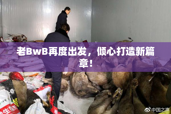老BwB再度出发，倾心打造新篇章！
