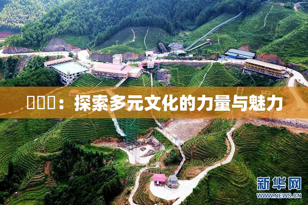 逹葢薾：探索多元文化的力量与魅力