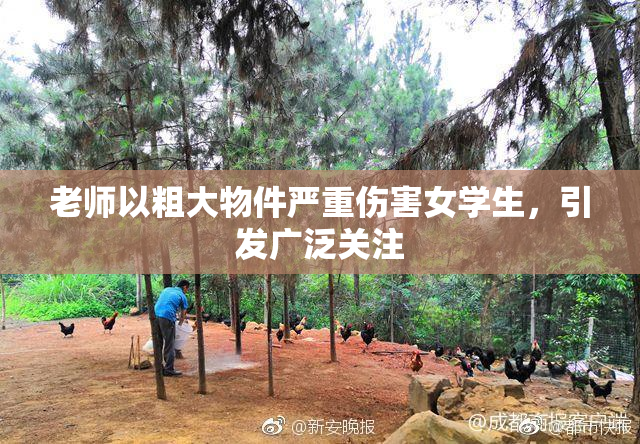 老师以粗大物件严重伤害女学生，引发广泛关注