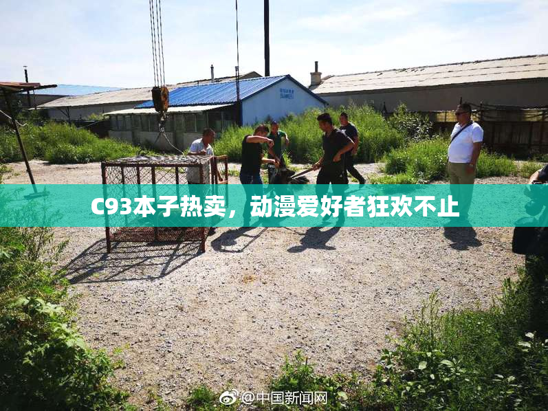 C93本子热卖，动漫爱好者狂欢不止