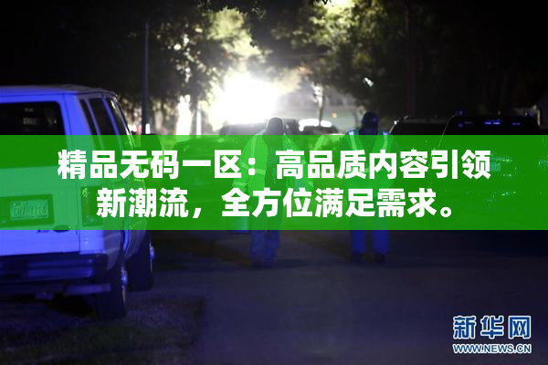 精品无码一区：高品质内容引领新潮流，全方位满足需求。