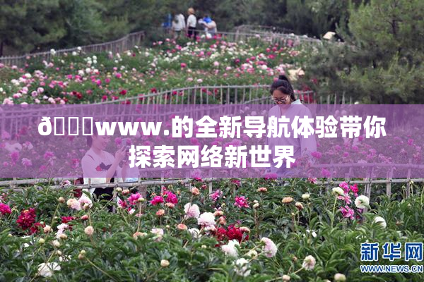 🔞www.的全新导航体验带你探索网络新世界