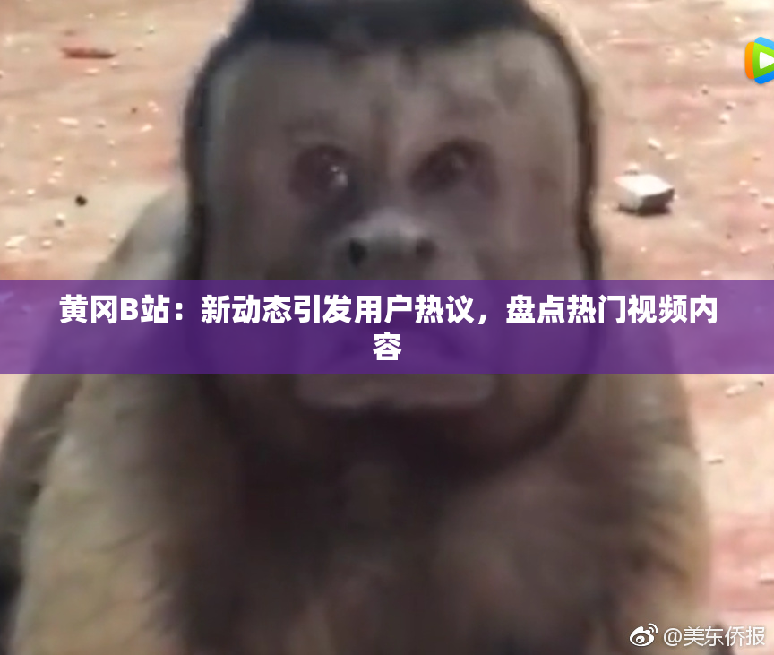黄冈B站：新动态引发用户热议，盘点热门视频内容
