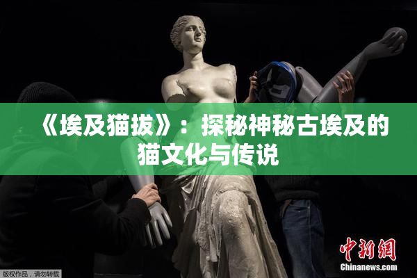 《埃及猫拔》：探秘神秘古埃及的猫文化与传说