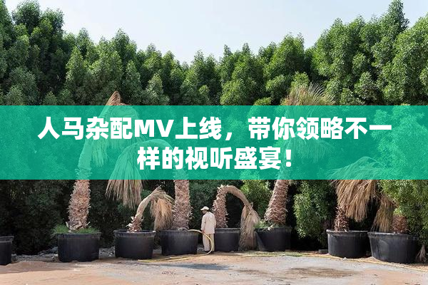 人马杂配MV上线，带你领略不一样的视听盛宴！