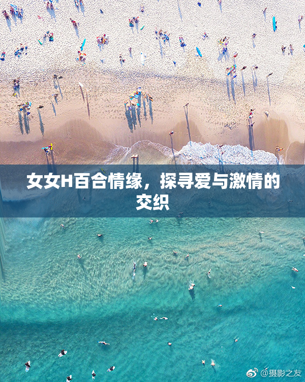 女女H百合情缘，探寻爱与激情的交织