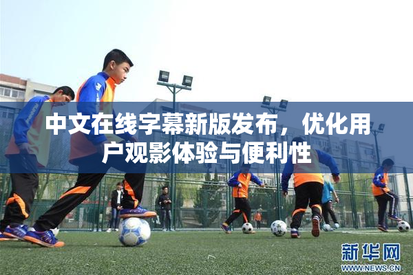 中文在线字幕新版发布，优化用户观影体验与便利性