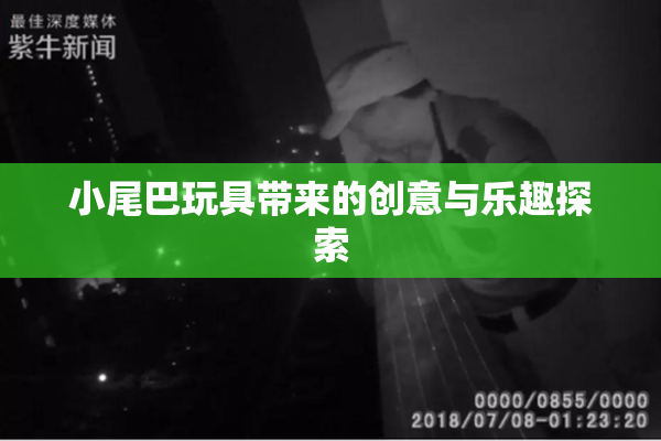 小尾巴玩具带来的创意与乐趣探索