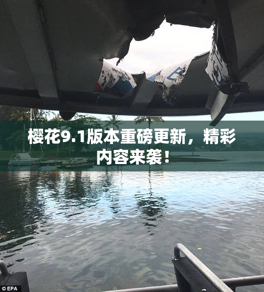 樱花9.1版本重磅更新，精彩内容来袭！