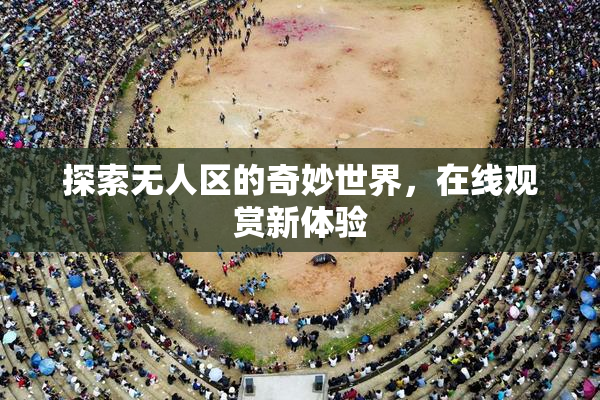 探索无人区的奇妙世界，在线观赏新体验