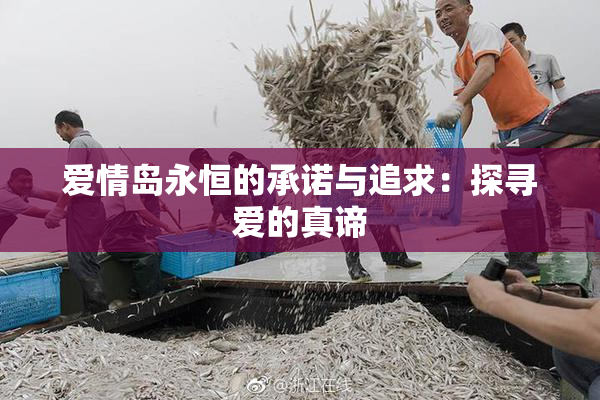 爱情岛永恒的承诺与追求：探寻爱的真谛