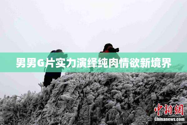 男男G片实力演绎纯肉情欲新境界