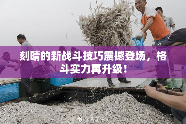 刻晴的新战斗技巧震撼登场，格斗实力再升级！