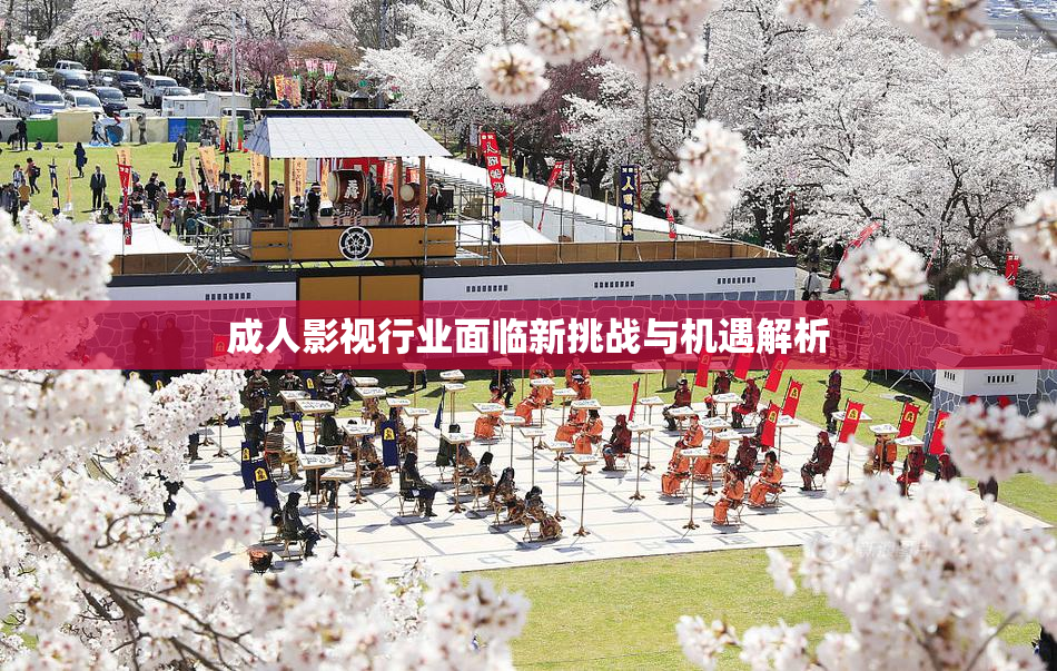 成人影视行业面临新挑战与机遇解析