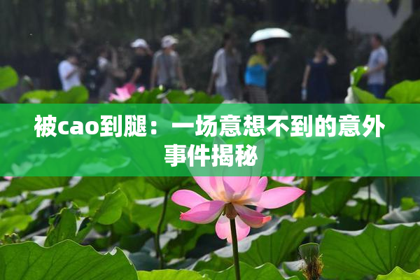被cao到腿：一场意想不到的意外事件揭秘