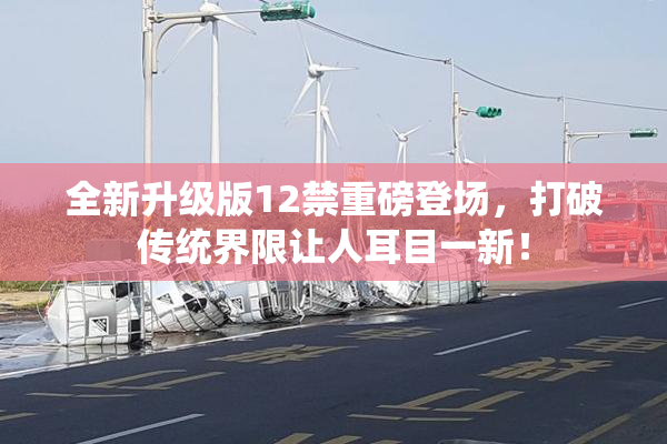 全新升级版12禁重磅登场，打破传统界限让人耳目一新！