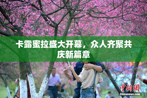 卡露蜜拉盛大开幕，众人齐聚共庆新篇章