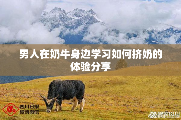 男人在奶牛身边学习如何挤奶的体验分享