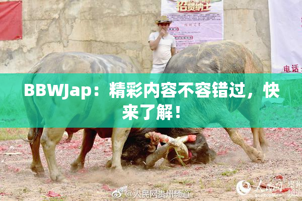 BBWJap：精彩内容不容错过，快来了解！