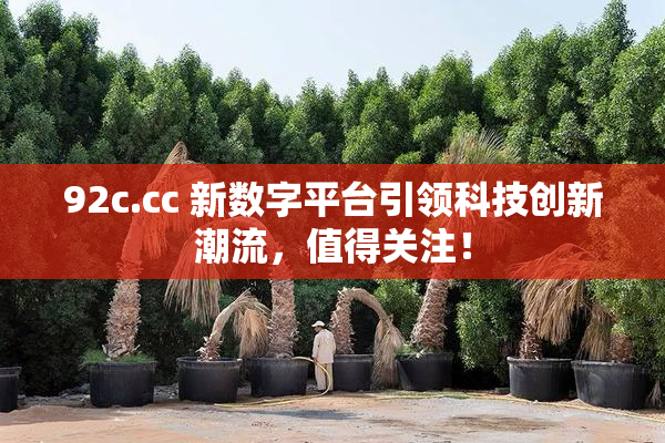92c.cc 新数字平台引领科技创新潮流，值得关注！