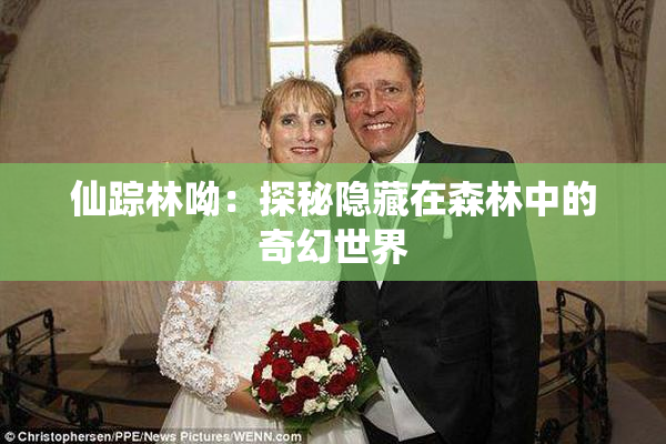 仙踪林呦：探秘隐藏在森林中的奇幻世界