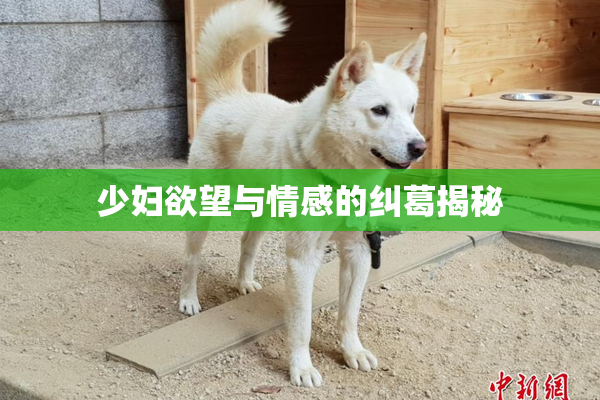 少妇欲望与情感的纠葛揭秘