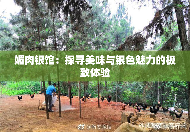 媚肉银馆：探寻美味与银色魅力的极致体验