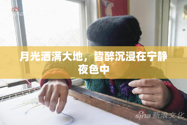 月光洒满大地，皆醉沉浸在宁静夜色中