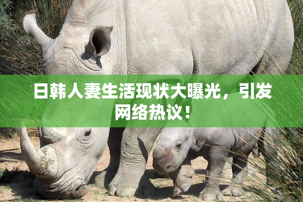日韩人妻生活现状大曝光，引发网络热议！