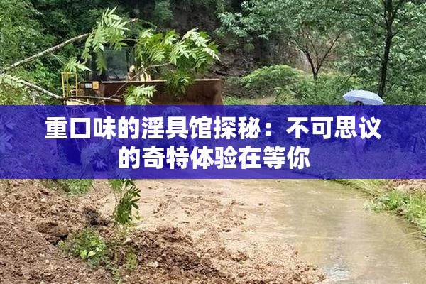 重口味的淫具馆探秘：不可思议的奇特体验在等你