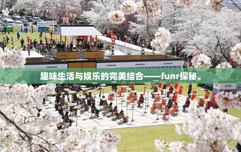 趣味生活与娱乐的完美结合——funr探秘。