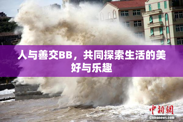 人与善交BB，共同探索生活的美好与乐趣