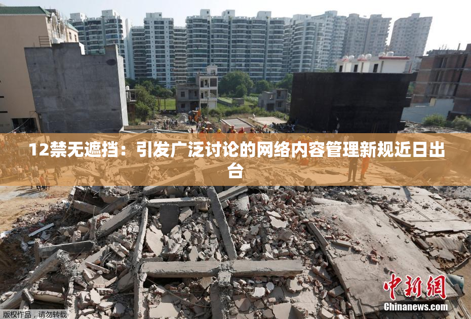 12禁无遮挡：引发广泛讨论的网络内容管理新规近日出台