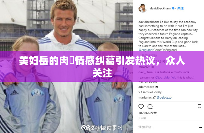 美妇岳的肉泬情感纠葛引发热议，众人关注