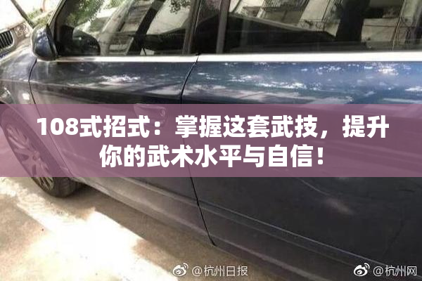 108式招式：掌握这套武技，提升你的武术水平与自信！