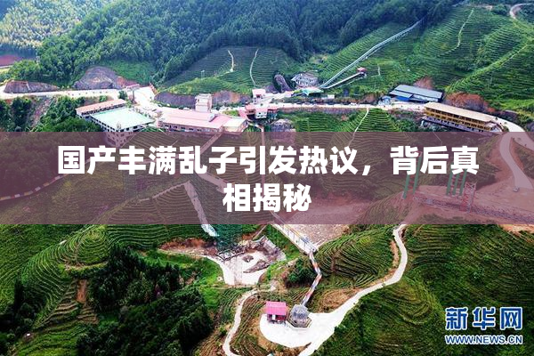 国产丰满乱子引发热议，背后真相揭秘