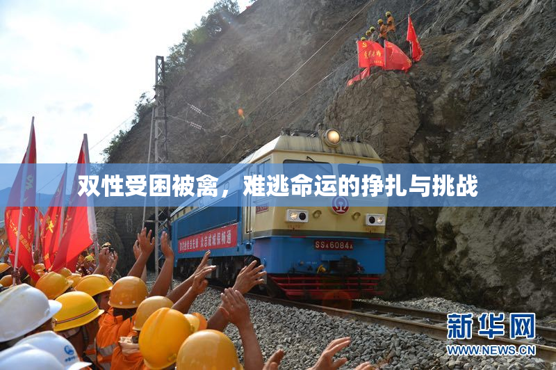 双性受困被禽，难逃命运的挣扎与挑战