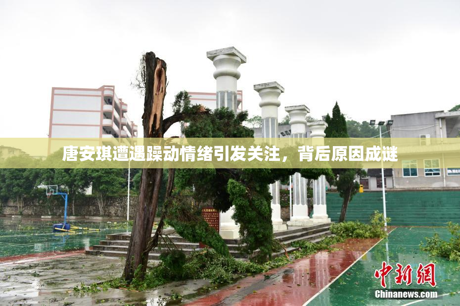 唐安琪遭遇躁动情绪引发关注，背后原因成谜