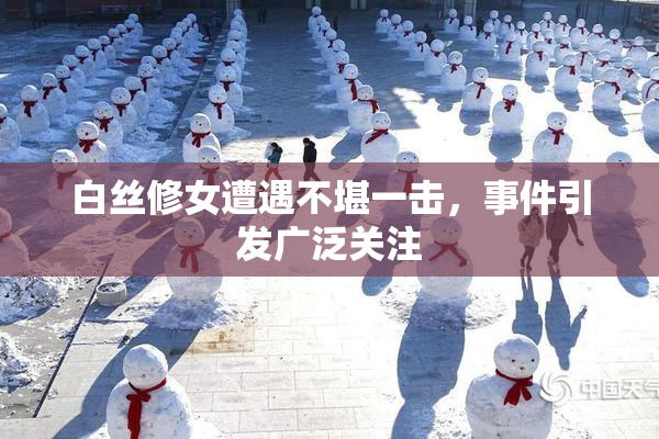 白丝修女遭遇不堪一击，事件引发广泛关注