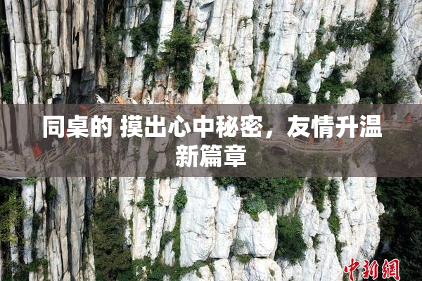 同桌的 摸出心中秘密，友情升温新篇章