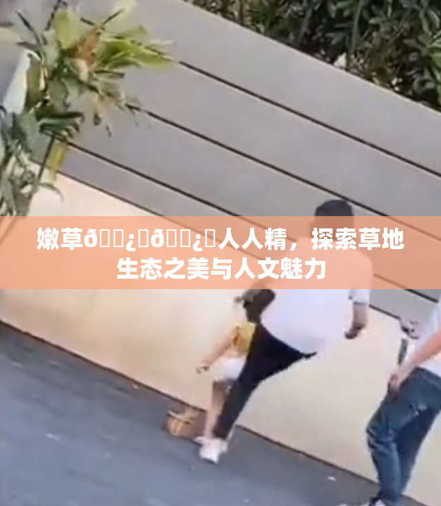 嫩草🌿‌🌿‌人人精，探索草地生态之美与人文魅力