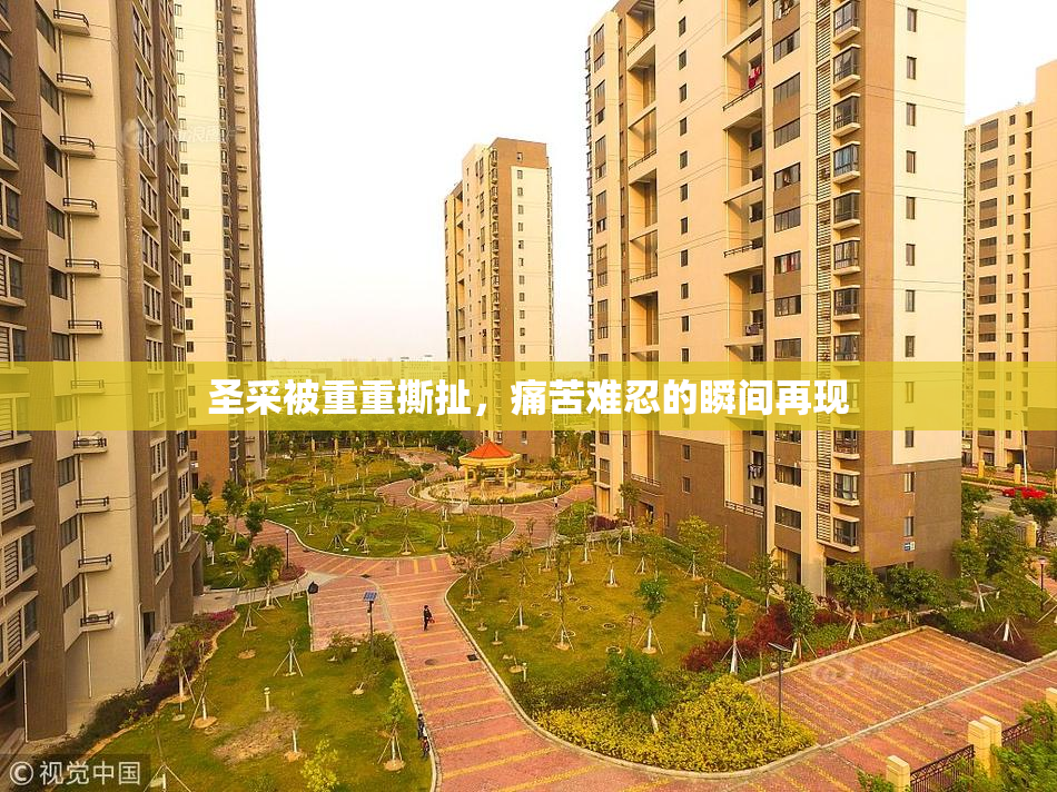 圣采被重重撕扯，痛苦难忍的瞬间再现