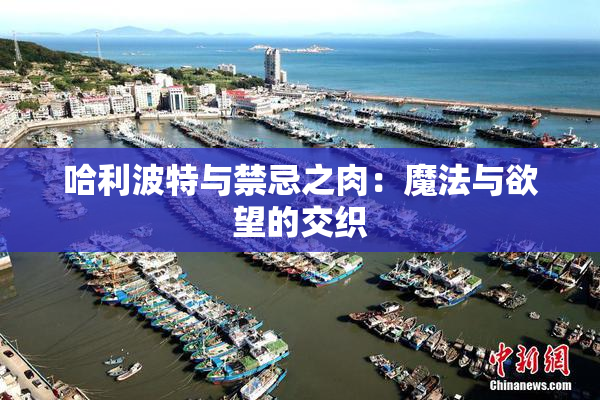 哈利波特与禁忌之肉：魔法与欲望的交织