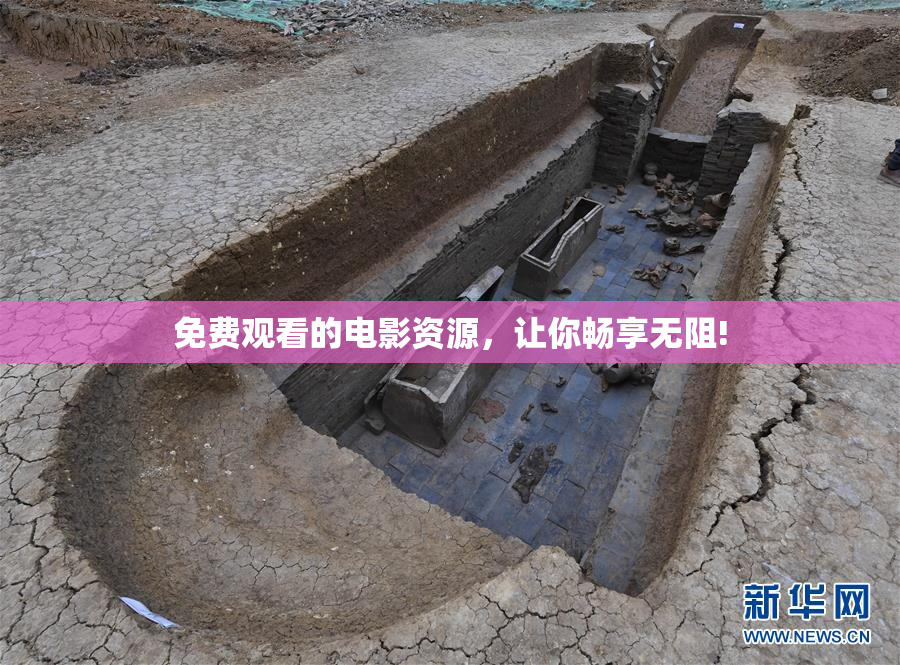 免费观看的电影资源，让你畅享无阻!