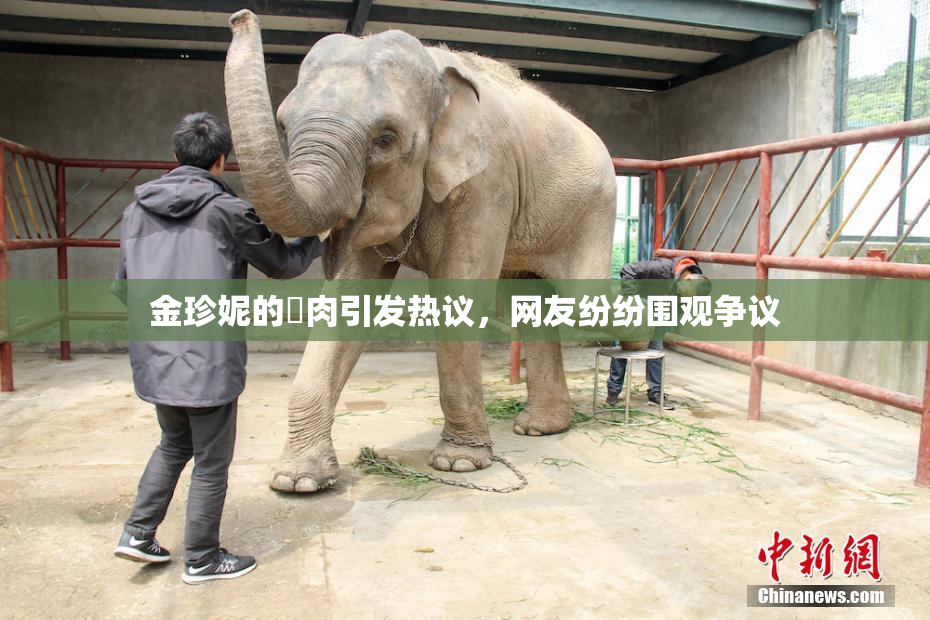 金珍妮的婬肉引发热议，网友纷纷围观争议