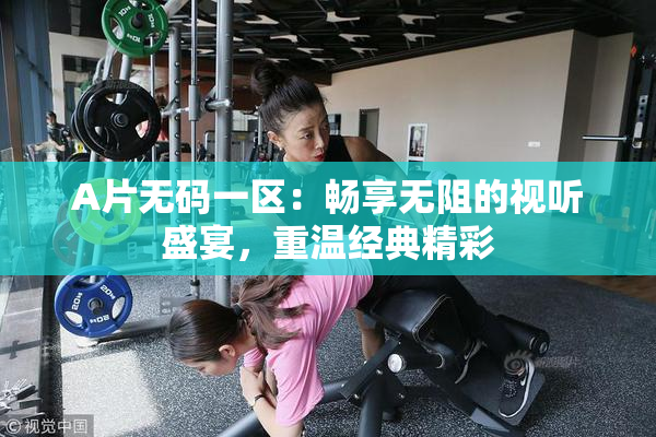 A片无码一区：畅享无阻的视听盛宴，重温经典精彩