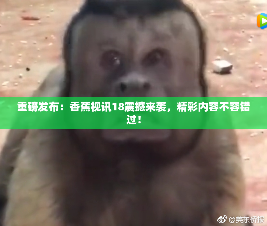 重磅发布：香蕉视讯18震撼来袭，精彩内容不容错过！